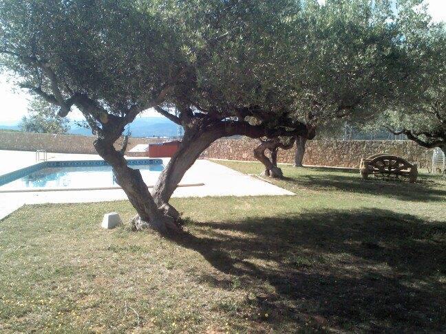 Hotel L'Ermita Casa Ripo Vall dʼAlba Exterior foto